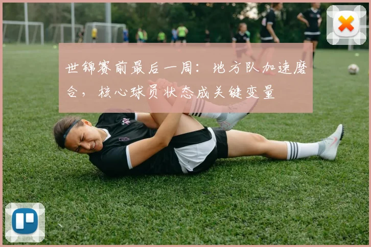 世锦赛前最后一周：地方队加速磨合，核心球员状态成关键变量 - Kaiyun推荐